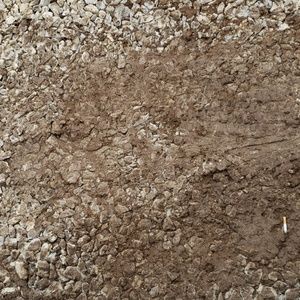 Meet your Posher, Billy